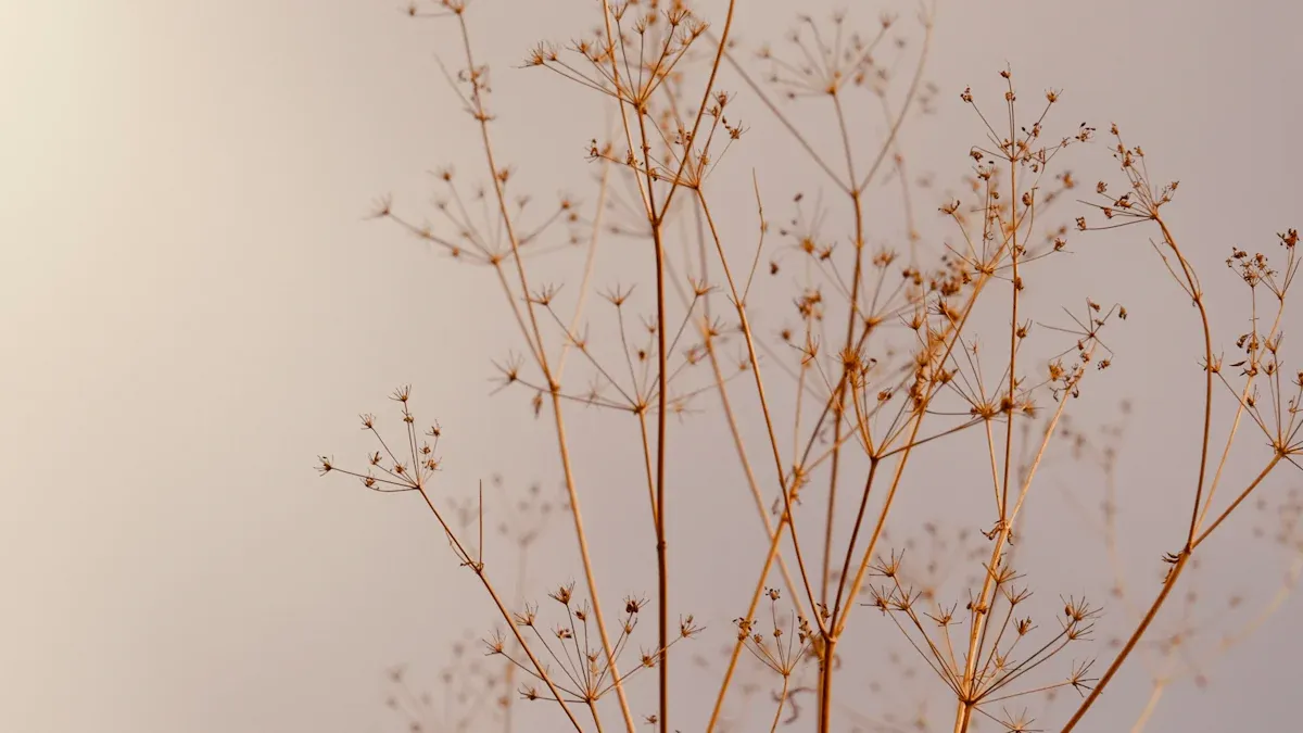 ​2026 Bathroom Color Trends: Moving Beyond Grey to Earth Tones and Jewel Tones​